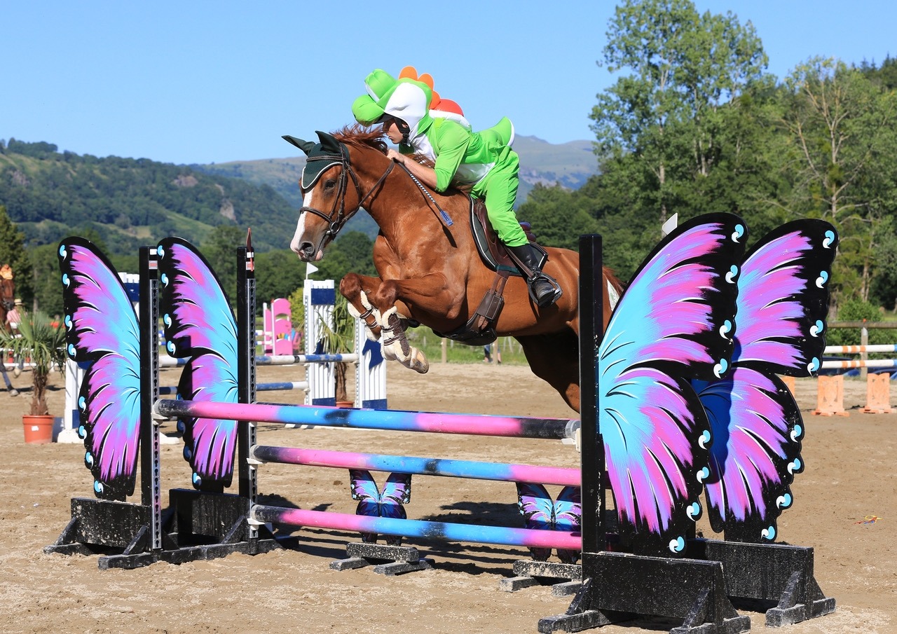 Concours CSO déguisé